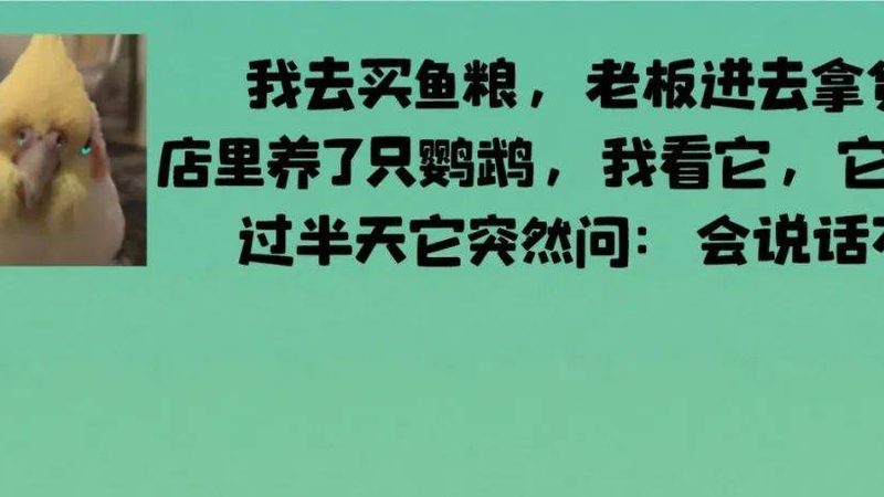 坚果炒货原料采购，揭秘标准与批发之道
